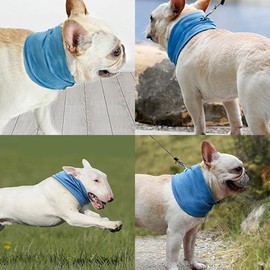 Laroal Dog Cooling Bandanas and Collar - Breathable Heat Dissipation, Summer Cooling for Dogs (Size M)