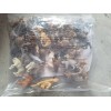 Safari North American Wildlife 48 Bag Mini Figures Safari Ltd