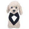 KOOLMOX Tuxedo for Large Dogs Wedding Attire, Black Tux Bow