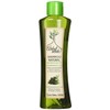 Arbol Verde Shampoo Natural Refrescante con Menta, Eucalipto, Té Verde