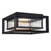 Design House 589234-BLK Hartbrook Outdoor LED Ceiling Light with Clear
