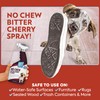 OUT! PetCare No Chew Bitter Cherry Flavor Deterrent, Puppy Training,