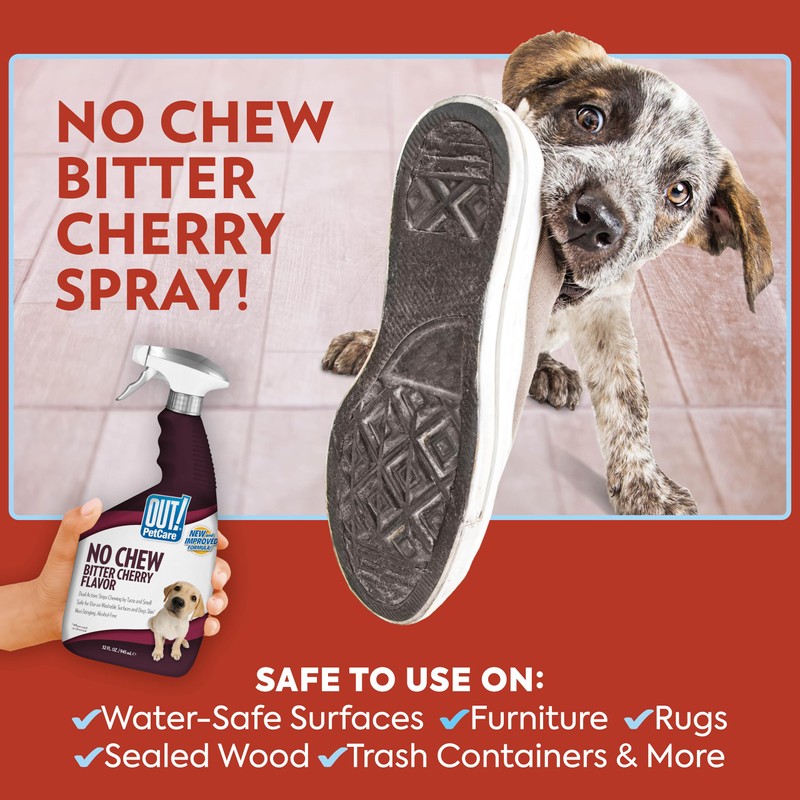 OUT! PetCare No Chew Bitter Cherry Flavor Deterrent, Puppy Training,