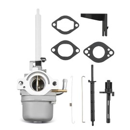 FurnyQuaint Carburetor Fit for Briggs & Stratton and Ariens Snow Blower Replace 921013 921016