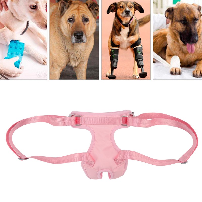 Dog Lift Harness Adjustable Safe Comfortable Puppy Hind Leg Support