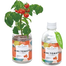 Seishin Pottery GD-100205 Winter/Spring Home Garden, Easy Cultivation Kit, Tomatoes, Vegetables, Cultivation Set, (Free Research/Food Education), Pot Diameter Approx. 2.8 inches (7 cm), Green Pets,