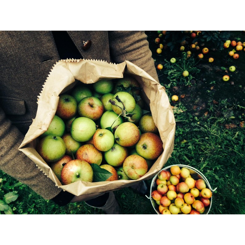 Willy's Organic ACV Apple Cider Vinegar with Mother - Probiotocs
