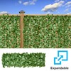 INFRANGE Expandable Fence Privacy Screen, Stretchable Artificial Faux Laurel Hedge