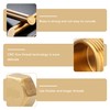 6 PCS Brass Blanking Cap, 1/2 inch Female Blanking Stop