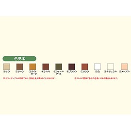 Color Chic Furniture Repair Colorants Set of 10