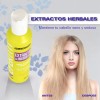 Shampoo Y Acondicionador De Hierbas Cabello Dañado Nefertiti