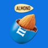 M&M’S Almond Milk Chocolate Candy, Sharing Size, 8.6 Ounce, Chocolate