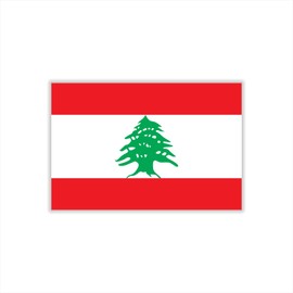 Womaha 30 Sheets Lebanon Flag Temporary Tattoos for Kids Adults Fans Fake Face Tattoo Stickers