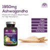 Nature's Strength Ashwagandha Orgánica 1950mg 120 Cápsulas