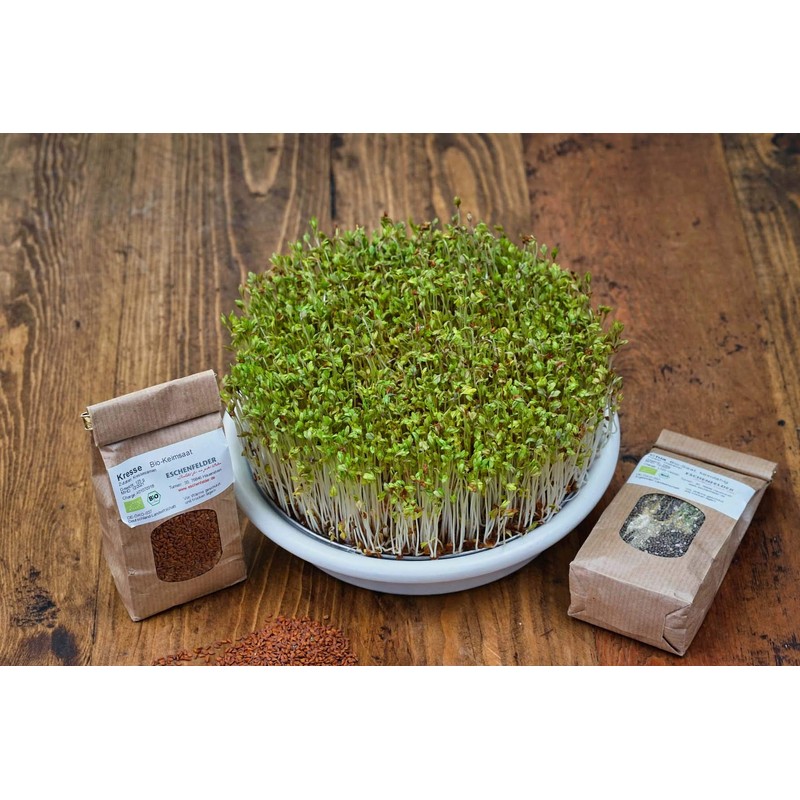 ESCHENFELDER Kressesieb 12cm aus Keramik | Edelstahl | Herstellung in