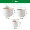 Docrin Plant Pots Indoor with Drainage: 6.4+5.3+4 Inch Ceramic Flower