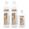 Activee Coconut- Shampoo+ Acondicionador + Crema Para Peinar