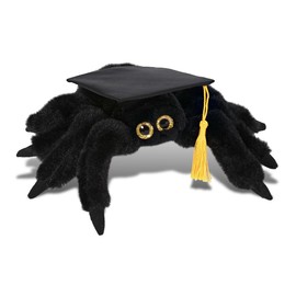 DolliBu Black Spider Graduation Plush Toy - Super Soft Plush Graduation Stuffed Animal Dress Up with Graduation Cap with Tassel Outfit - Congratulatory Graduation Gift with Personalization - 8 inch