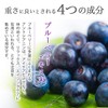 ogaland Blueberry Supplement, 270 Tablets, Approx. 3 Month Supply, Pill
