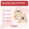 Downtown Pet Supply Step-in Dog Harness – No Pull, Adjustable