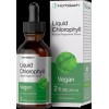 Horbäach Liquid Chlorophyll | 2 fl oz | Natural Peppermint