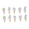 BIUDECO Creative Cactus Wooden Photo Clips 10/Pack Memo Photo Note