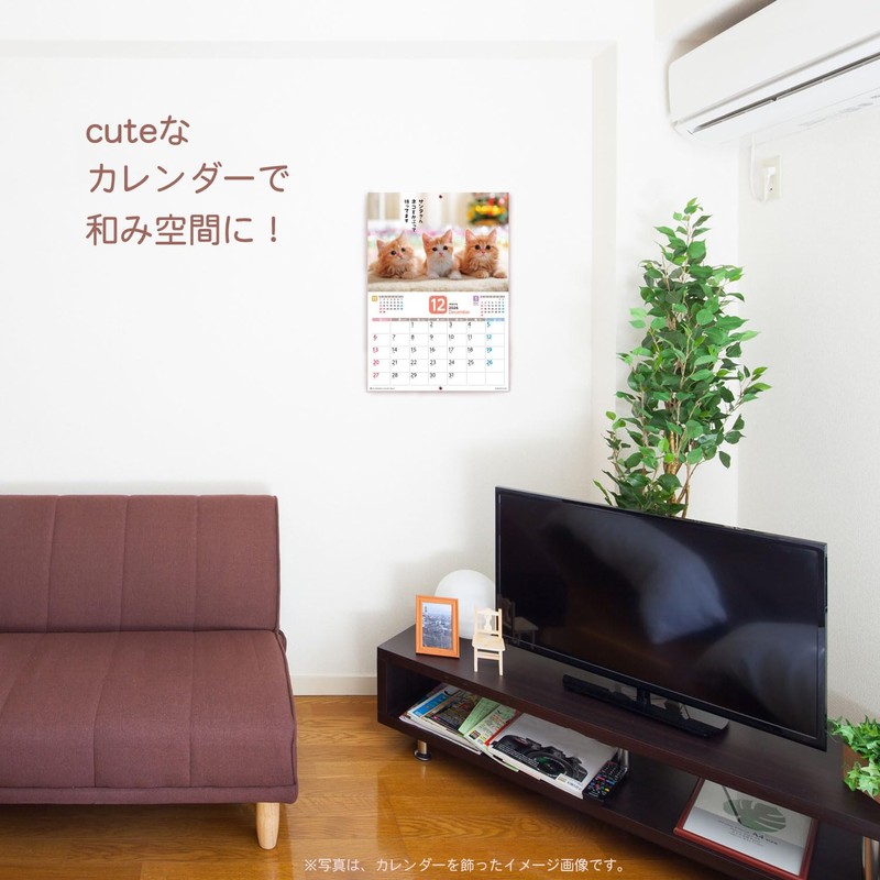 Active Corporation 2026 Calendar Wall-mounted Because It's a Cat, Isn't