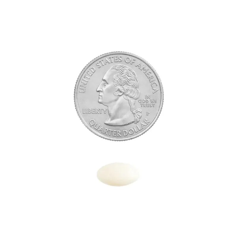 Biotina 5,000mcg 240 Caps Cabello Uñas Piel Biotin Spring Va