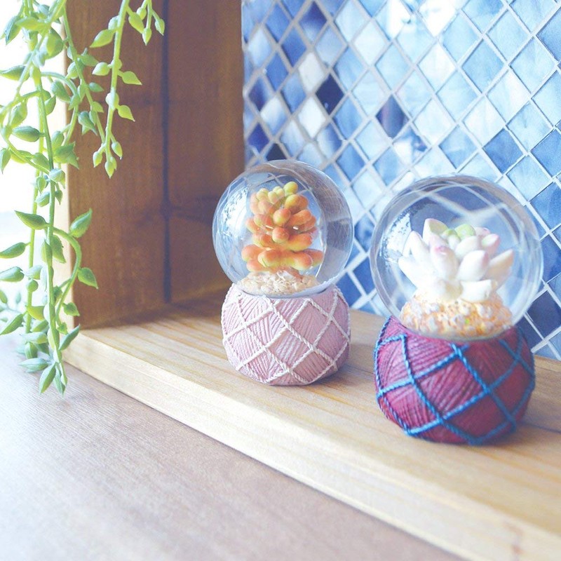 Terrarium Snowflakes Terrarium
