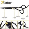 Candure Hairdressing Cutting Scissors Barber and Thinning Salon Shears Set