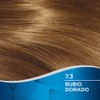 Wella Deluxe Tinte Permanente 7.3 Rubio Dorado, 207 g