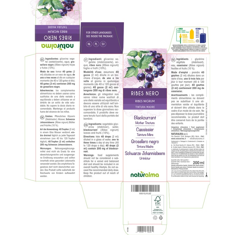 Black Currant (Ribes Nigrum) Leaves and Fruits Alcohol-Free Mother Tincture