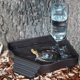 Flushbay Reptile Water Feeder Automatic Water Dispenser with Ramp Extra Large Reptile Bathing Pool for Gecko, Snake, Turtle, Bearded Dragon, Lizard Bath Aquarium Ornament (with Bottle)
