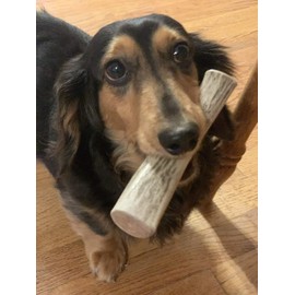 Perfect Pet Chews Deer Antler Dog Chew - Grade A, All Natural, Organic, and Long Lasting Treats - Made from Naturally Shed Antlers in The USA (E. Large - Dog Weight 40-70 Lbs, 1 - Pack)