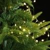 WEGRASY Firecracker Fairy Lights Plug in,33ft 300LEDs Green Wire Cluster