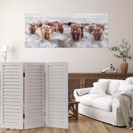 SOFE Wood Short Room Divider 3 Panel, 2.6 Ft Tall Shutters Folding Divider for Room Separation, White Room Partitions and Dividers Freestanding, Foldable Wall for Home Bedroom Office