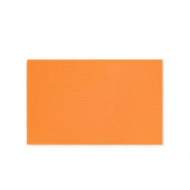 Protec Medical Moaeon Steaming Machine Basic Type Red Clay PR-HP01