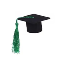 Mini Graduation Caps Bottle Toppers, Table Decorations for Graduation Parties (Green Tassel)