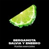Desodorante premium en barra Axe Aqua Citrus 45 g