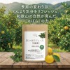 Concentrated Chabara Fruit Skin Powder Juice Plus Lactic Acid Bacteria
