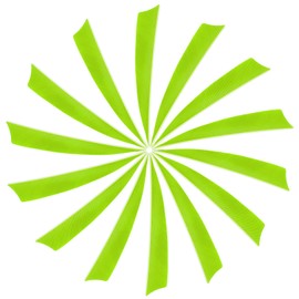 YELARXI Arrow Vanes Turkey Archery Arrows Feather Fletching, 4 Inch Left Wing Fit for Hunting Target Shooting (25Pcs Neon Green)