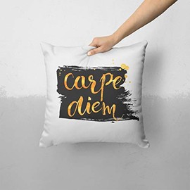 iiRov Lux Carpe Diem - Custom Decorative Home Decor Indoor or Outdoor Throw Pillow Cover Plus Cushion Set for Sofa, Bed or Couch (Pillow CASE Cover Plus Cushion)