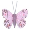 MIK funshopping Colourful Butterfly Clip On Decoration (10 Piece Set,