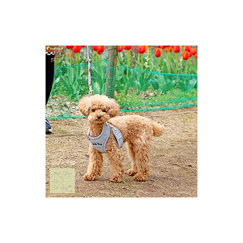 Pompolice Long Run Harness, Pet Products Professional Manufacturer Pompolice