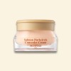 Skinfood 스킨푸드 연어 다크서클 컨실러 크림 10g (1호 블루밍) Skinfood Salmon Dark Circle Concealer Cream 10g (No. 1 Blooming)