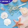 GlikCeil 50 Pcs Sea Shell for Crafting Natural Large Scallop