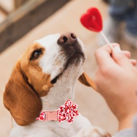 MACA Bates Valentine Dog Collar with Flower Bow Tie Love You Sweet Heart Dogs Collars Red Soft Adjustable Collor with Flowers Bowtie Valentine's for Small Medium Large Girl Boy Puppy