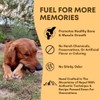 Yak Cheese Himalayan Dog Chews – Long-Lasting Natural Chews for