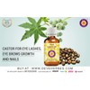 Deve Herbes Pure Castor Oil (Ricinus communis) with Glass Dropper
