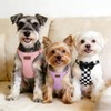PUPTECK Dog Harness and Leash Set Small Sized, Lightweight Step-in